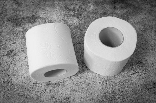 Comment sensibiliser la communauté à l'importance des toilettes sèches écologiques ?